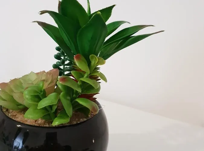 Panzió Perla Sicula 4*