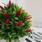 Perla Sicula 4*