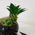 Panzió Perla Sicula 4*