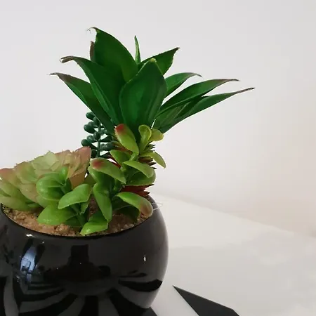 לינה וארוחת בוקר Perla Sicula 4*