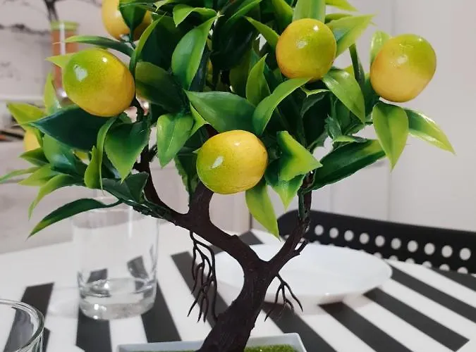 Oda ve Kahvaltı Perla Sicula Katanya